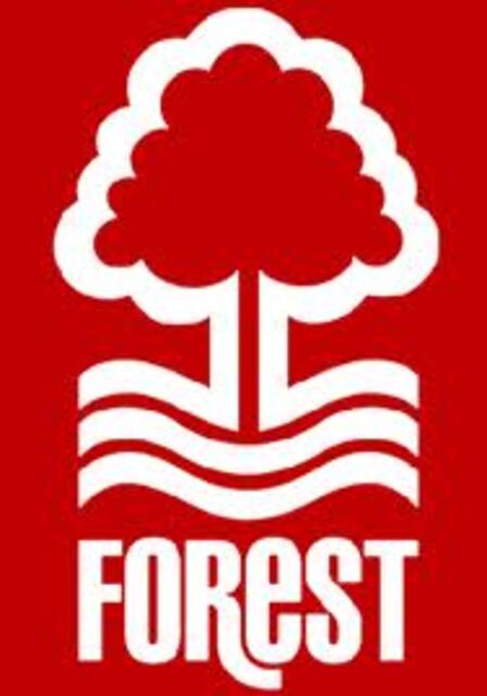 Nottingham Forest owner converts more loans to shares