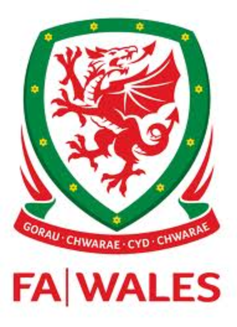 Welsh Football awaits decision on allowing EFL clubs to enter re-vamped Welsh League Cup