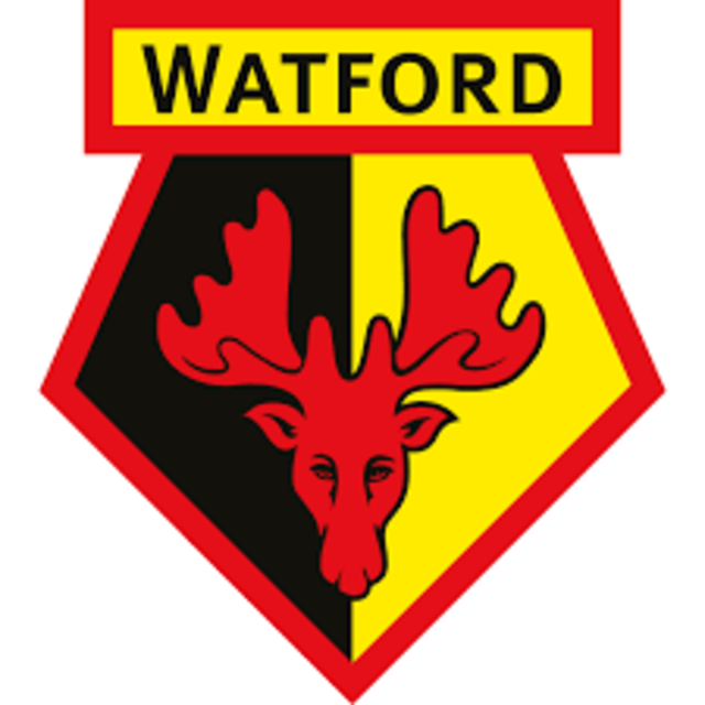 Watford announce former Welsh international as new manager